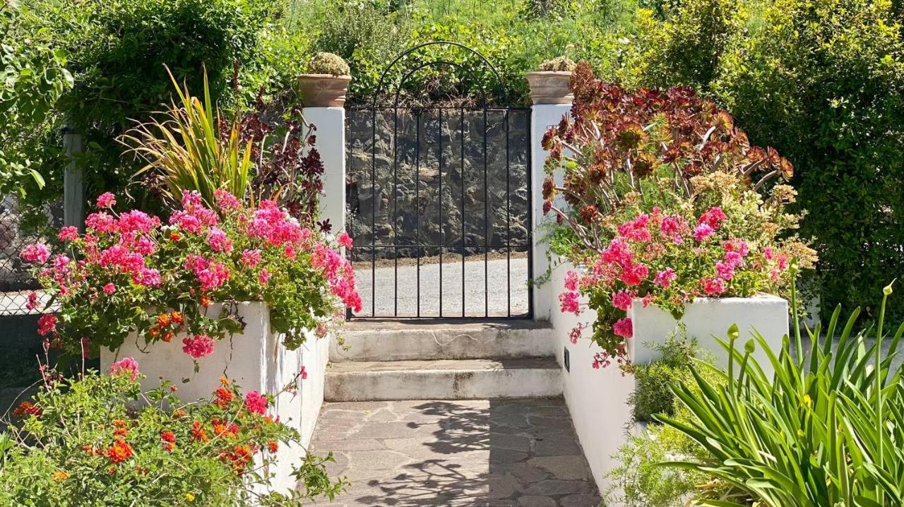 Casa Zagami Villa Malfa  Luaran gambar