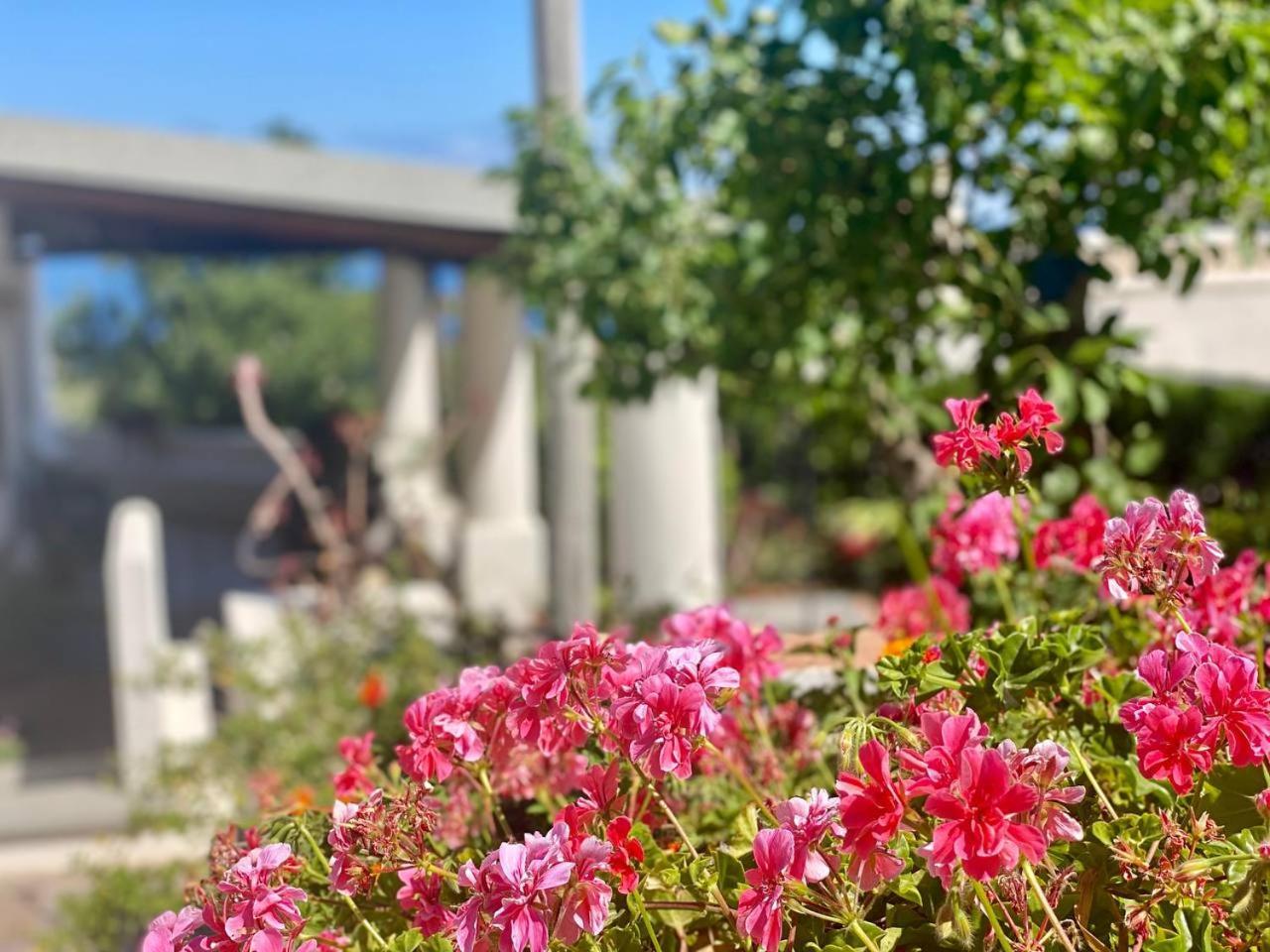 Casa Zagami Villa Malfa  Luaran gambar