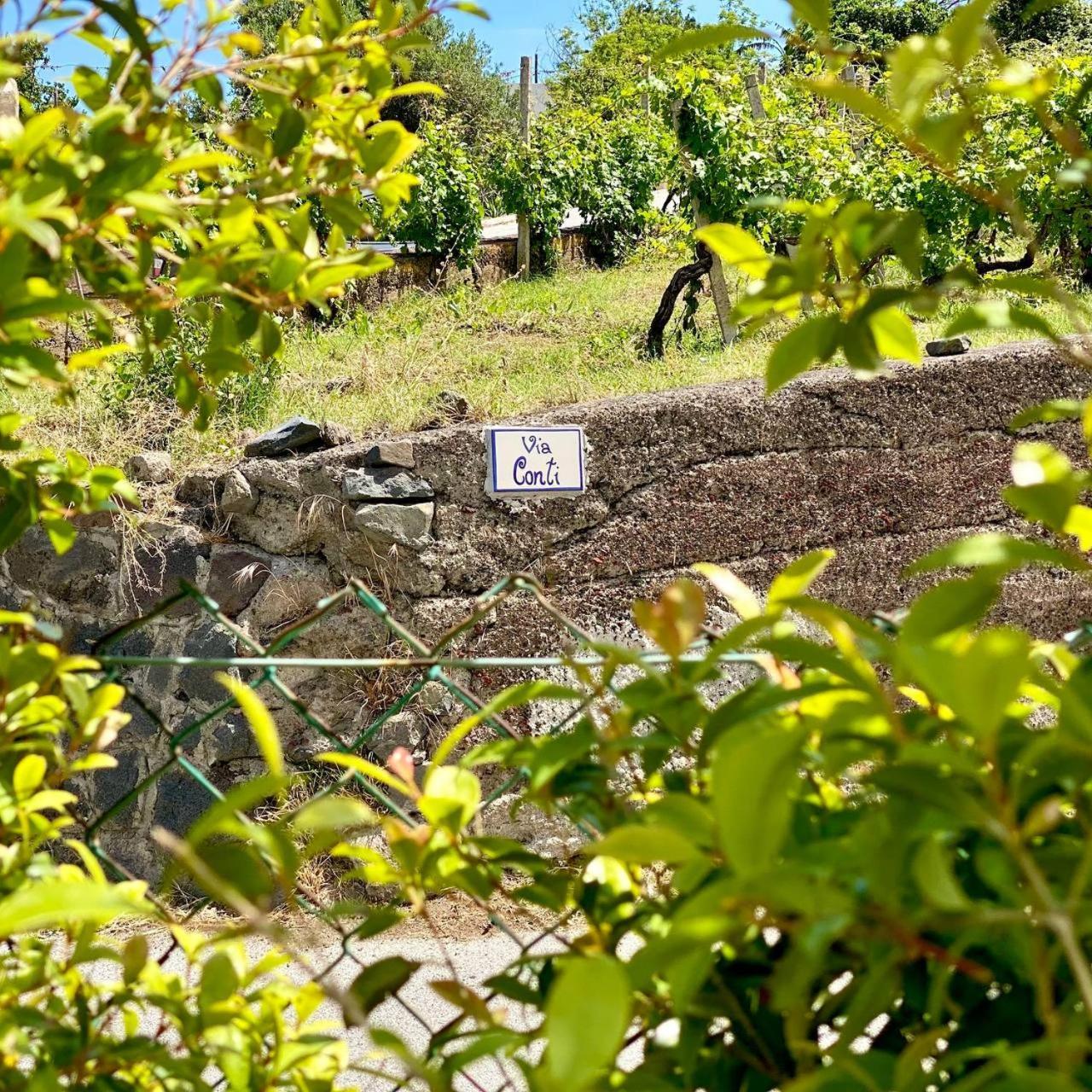 Casa Zagami Villa Malfa  Luaran gambar